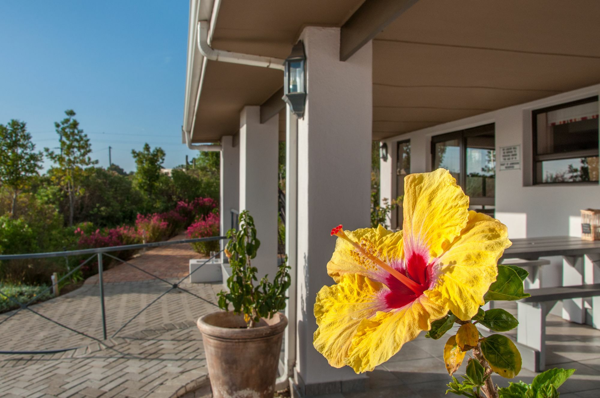 Wind-Rose Guest House Гордонс-Бей Екстер'єр фото